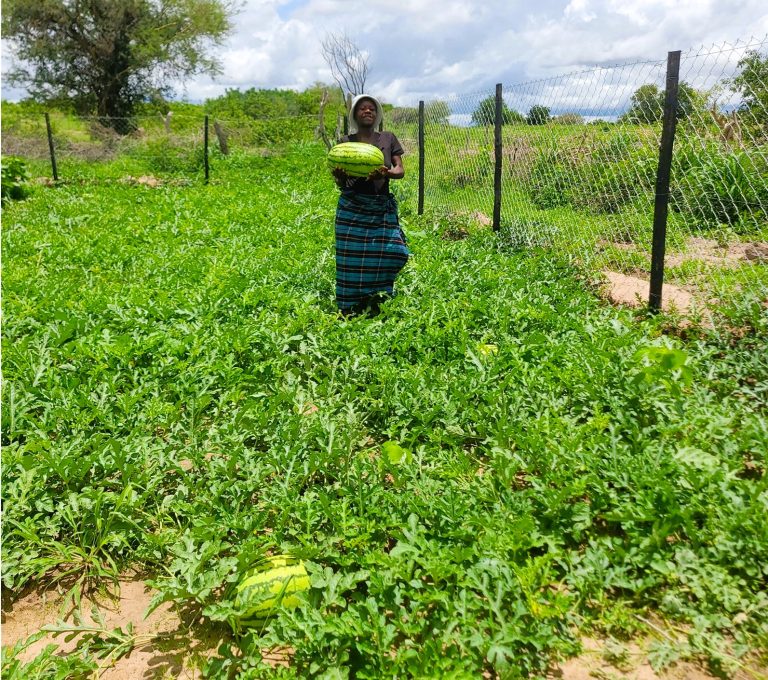 Talent Muzonza in her garden in Gokwe North